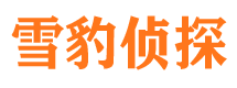 和政侦探公司